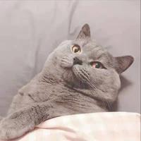 用户6506986544315头像