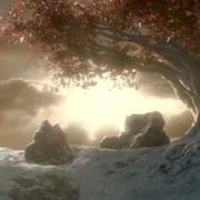 木头940的个人资料头像