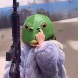 来个小Polo头像