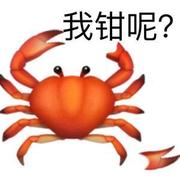 海里的小龙的个人资料头像