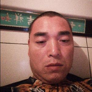 智者小猫XG头像