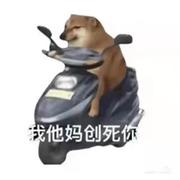 对对你说的对的个人资料头像