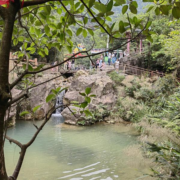 速度837头像