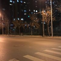 烦人的一帮人头像