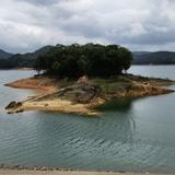 端庄风筝fwM头像