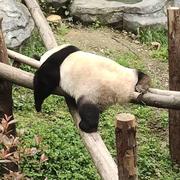 聪葱聪的个人资料头像