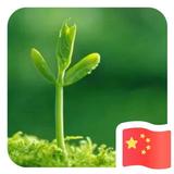 自然41413头像