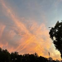 不是南北西头像