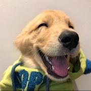 用户5128801992582的个人资料头像