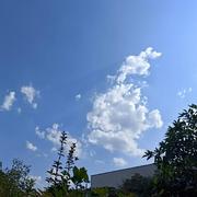 雲淸的个人资料头像