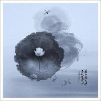 沉着精灵3i1头像