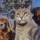 偷影子的人君的个人资料头像