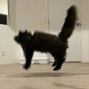 tasu的个人资料头像