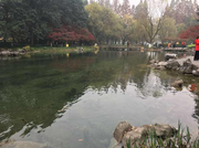 砺豪的个人资料头像