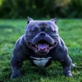 用户4714371162218头像