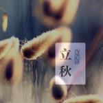 共孪头像