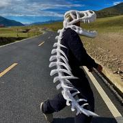 Chen19th的个人资料头像