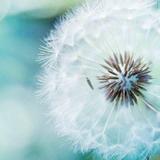 娟娟而来008头像