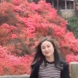 顺161296503头像