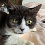 瓦西里的小板凳的个人资料头像