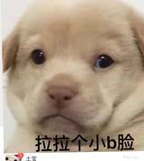 黑山老妖0001头像
