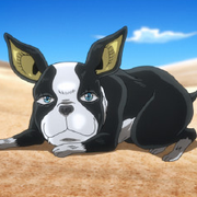 ervinewell的个人资料头像