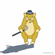 敲代码的猪的个人资料头像