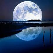 问水寻月的个人资料头像