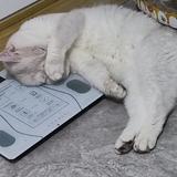 小黄人不体检头像