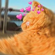 睡不够477的个人资料头像