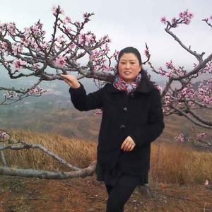 三七32939626头像