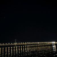 小陆太南了头像