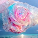 用户484992220226头像