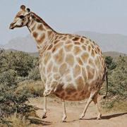 偷偷建的小号的个人资料头像