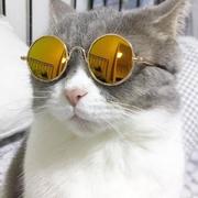 SkinShrimpCong的个人资料头像