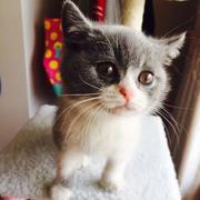 甜甜哋小黑的个人资料头像