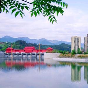 Wang春和景明头像