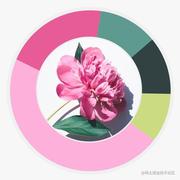 xinbuyu的个人资料头像