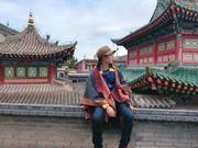 poemyang的个人资料头像