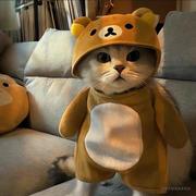 真的不想再脱发了的个人资料头像