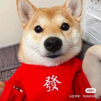 青涩鲸鱼9K头像