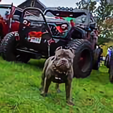 宁波汽车贴膜小明头像