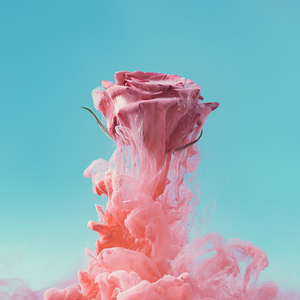 清爽麻酱UBo1yZx头像