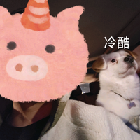孝感市多多科技头像
