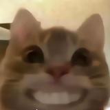 用户6546124616141头像