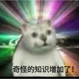 喵星人2570头像