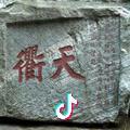 萍迅菲馨头像