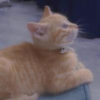 用户1247035203146头像