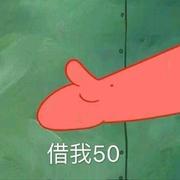 跑的最快的猪的个人资料头像