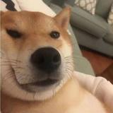 创域陶瓷批发头像